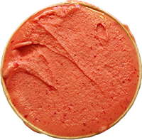 Sorbetto alla Fragola