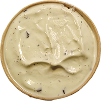 Menta e Cioccolato gelato