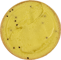 Sorbetto Kiwi e Arancia