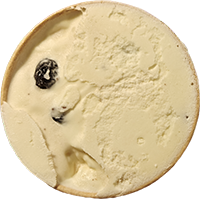 Rom og Rosin gelato fra Simony Gourmet Is