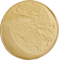 Salty Caramel gelato fra Simony Gourmet Is